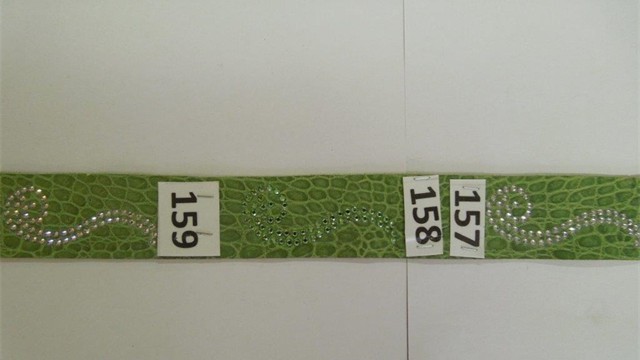 collection 2 rettili 157-158-159